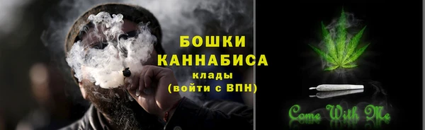 ПСИЛОЦИБИНОВЫЕ ГРИБЫ Алзамай