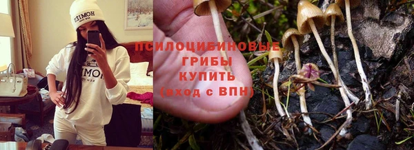 мескалин Алексин