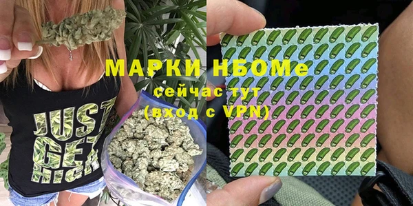 ПСИЛОЦИБИНОВЫЕ ГРИБЫ Алзамай