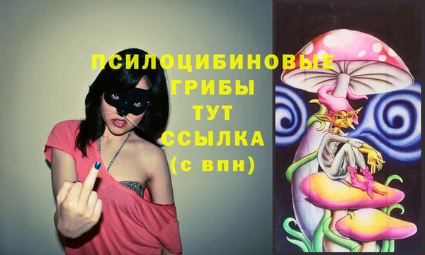 ПСИЛОЦИБИНОВЫЕ ГРИБЫ Алзамай